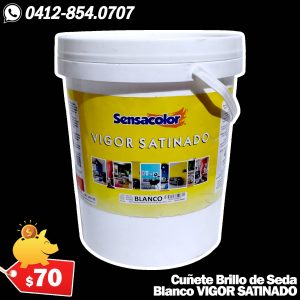 Pintura Brillo de Seda Blanco en Cuñete VIGOR SATINADO SENSACOLOR